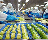 富士通為生鮮食品廠(chǎng)定制潔凈方案，助力食品廠(chǎng)美好環(huán)境建設(shè)